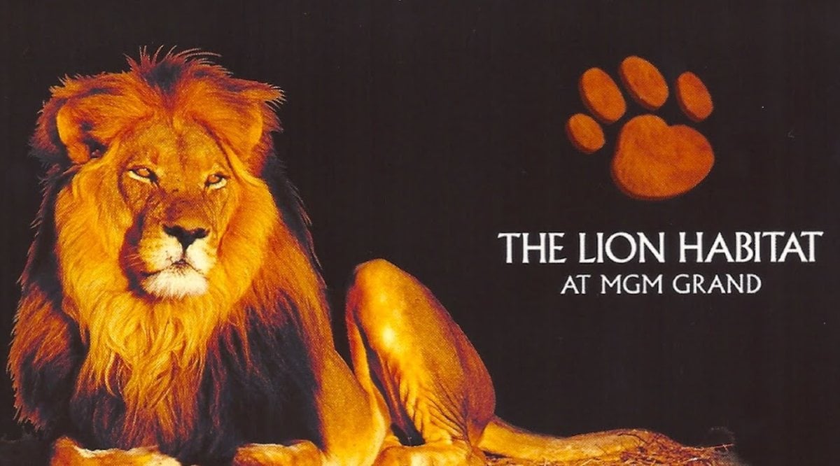 Bentley the Lion, Former MGM Grand Inhabitant, Dead at 15