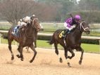 Oaklawn Opens Infield at Horse Track on Sundays, As Southland Casino Expands