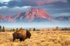 Wyoming Could Enter iGaming Fray in 2025